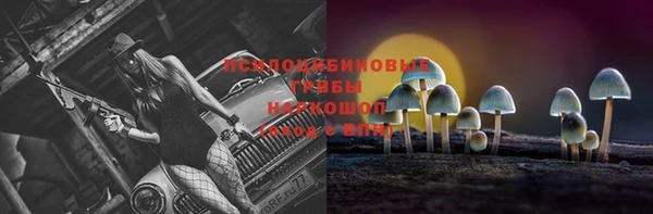 PSILOCYBIN Балахна