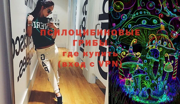 PSILOCYBIN Балахна